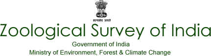 Zoological Survey of India SRF, JRF, Computer Operator Interview Based Govt Job