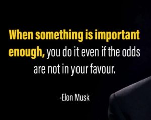motivation quote elon musk